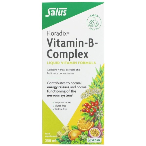 Salus Floradix Vitamin B Complex 250ml