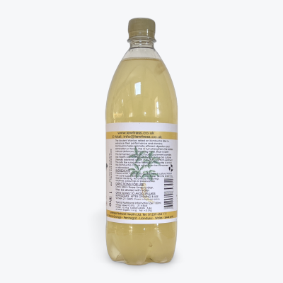 Buy Lewtress Ginseng Kombucha ltr Herbal Remedies; Diet & Detox; Daily Wellbeing; Energy & Vitality Online − UK Supplier