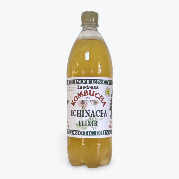 Lewtress Echinacea Kombucha ltr
