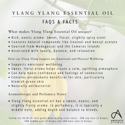 Absolute Aromas Ylang Ylang Oil 10ml