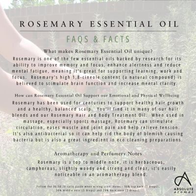 Absolute Aromas Rosemary Oil 10ml
