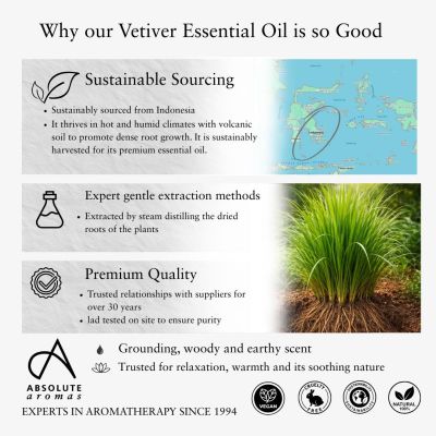 Absolute Aromas Vetiver Oil 10ml