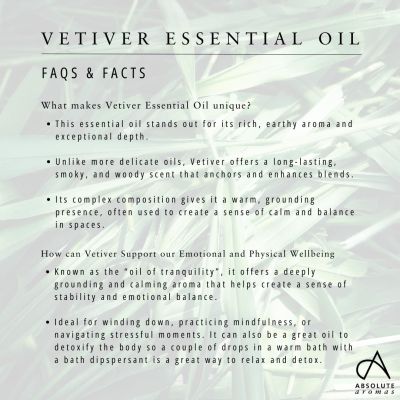 Absolute Aromas Vetiver Oil 10ml