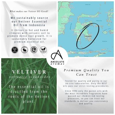 Absolute Aromas Vetiver Oil 10ml