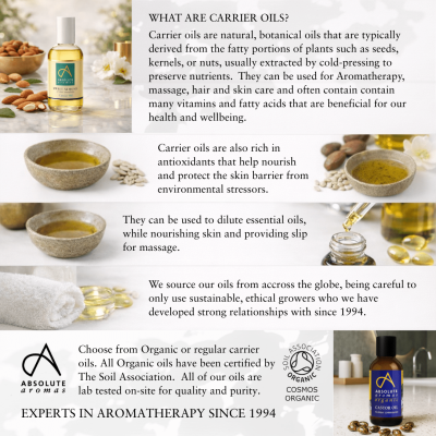 Absolute Aromas Wheatgerm Carrier Oil 50ml