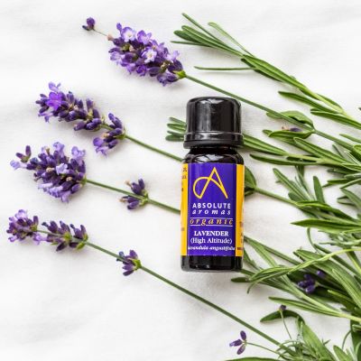 Absolute Aromas Organic Lavender (High Altitude) 10ml
