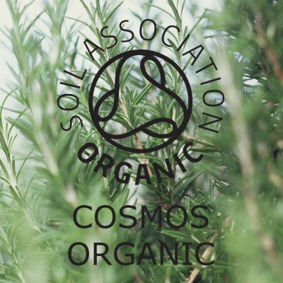 Absolute Aromas Organic Rosemary 10ml