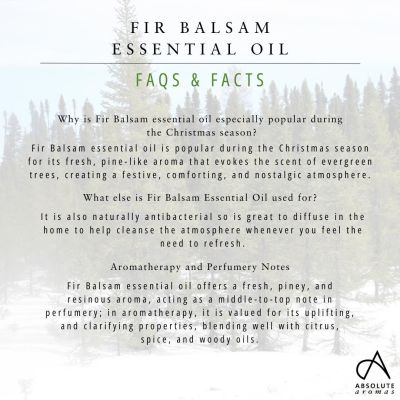 Absolute Aromas Fir Balsam Oil 10ml