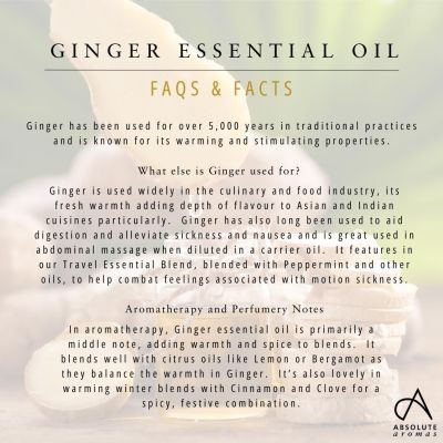 Absolute Aromas Ginger Oil 10ml