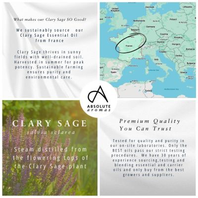 Absolute Aromas Clary Sage Oil 10ml