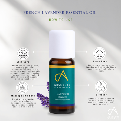 Absolute Aromas Lavender Oil (French) 10ml