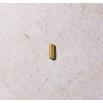 Higher Nature L-Theanine 90 capsules
