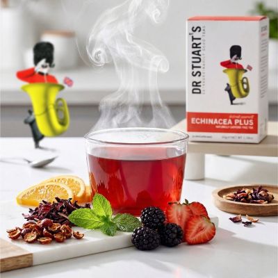 Dr Stuarts Echinacea Plus 15 tea bags